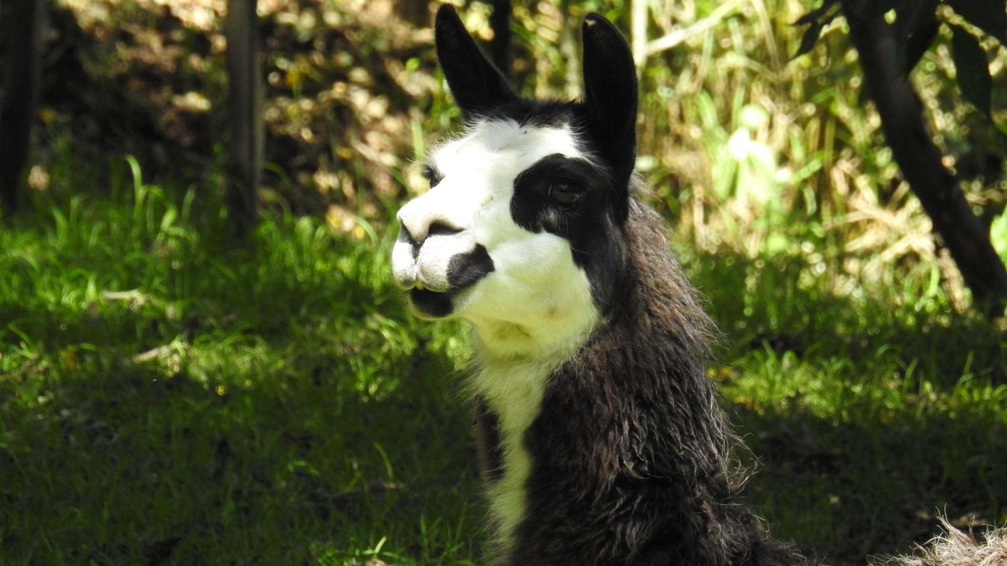 Puembo Hacienda Jimenita Wildlife Reserve מראה חיצוני תמונה